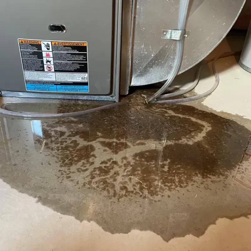 Appliance Leak Cleanup in Keansburg, NJ